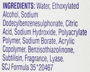 Shout Advanced Gel, 1 bottle, 8.7 fl oz by Shout