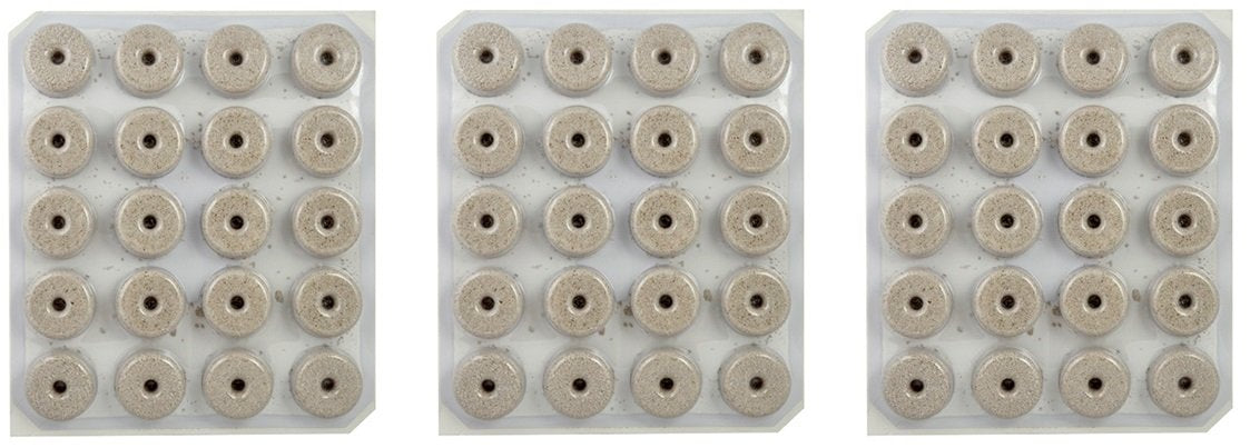 20CT Mosquito Dunks