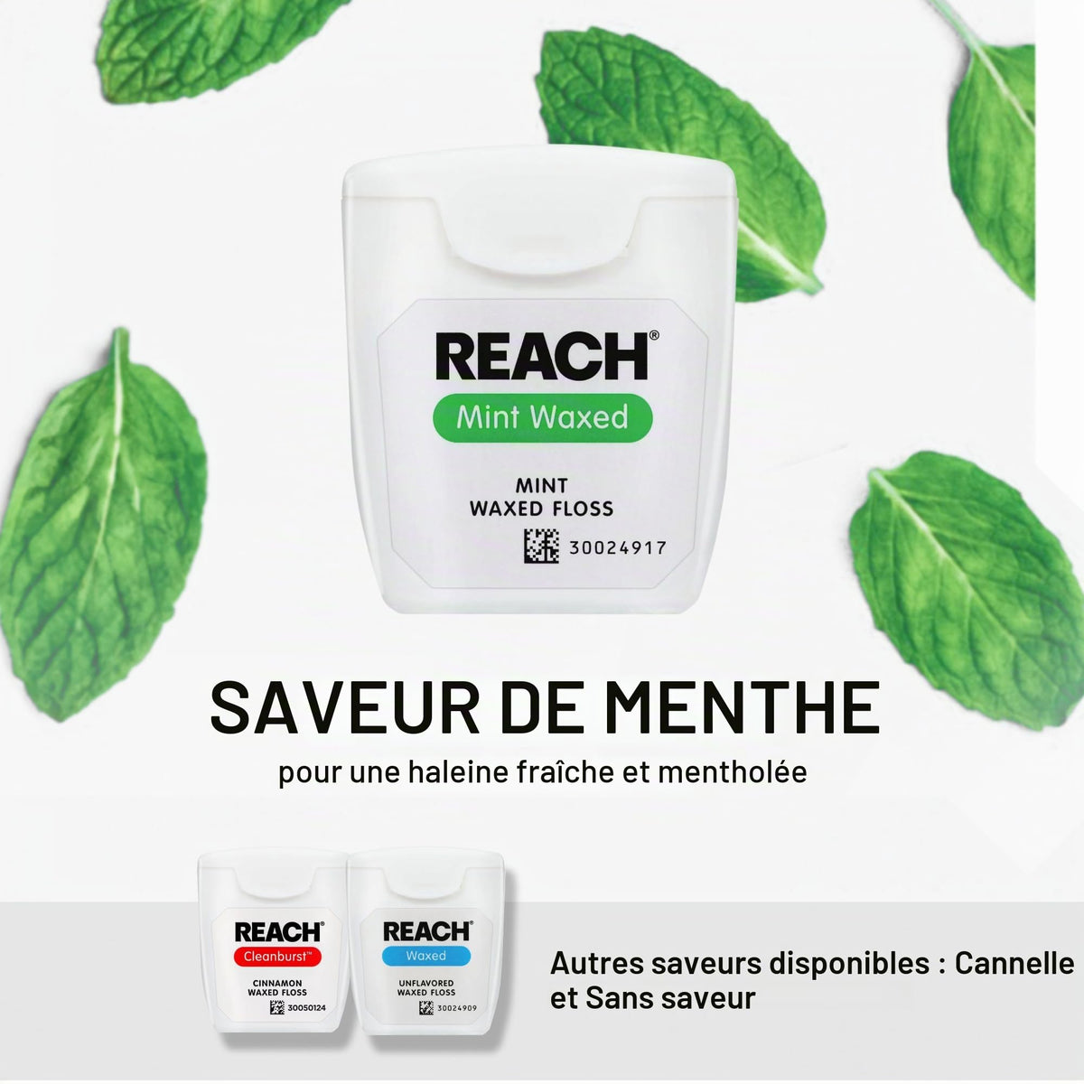 Reach 200 YD Floss | Mint Flavored