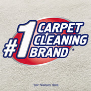 résoudre des tissus variés de moquette Cleaner, 623,7 gram