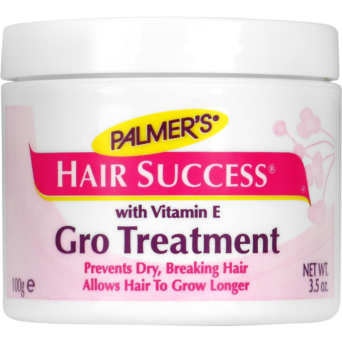 Palmer's Hair Success Soin Capillaire Sans Rincage Longueurs et Pointes 100 g