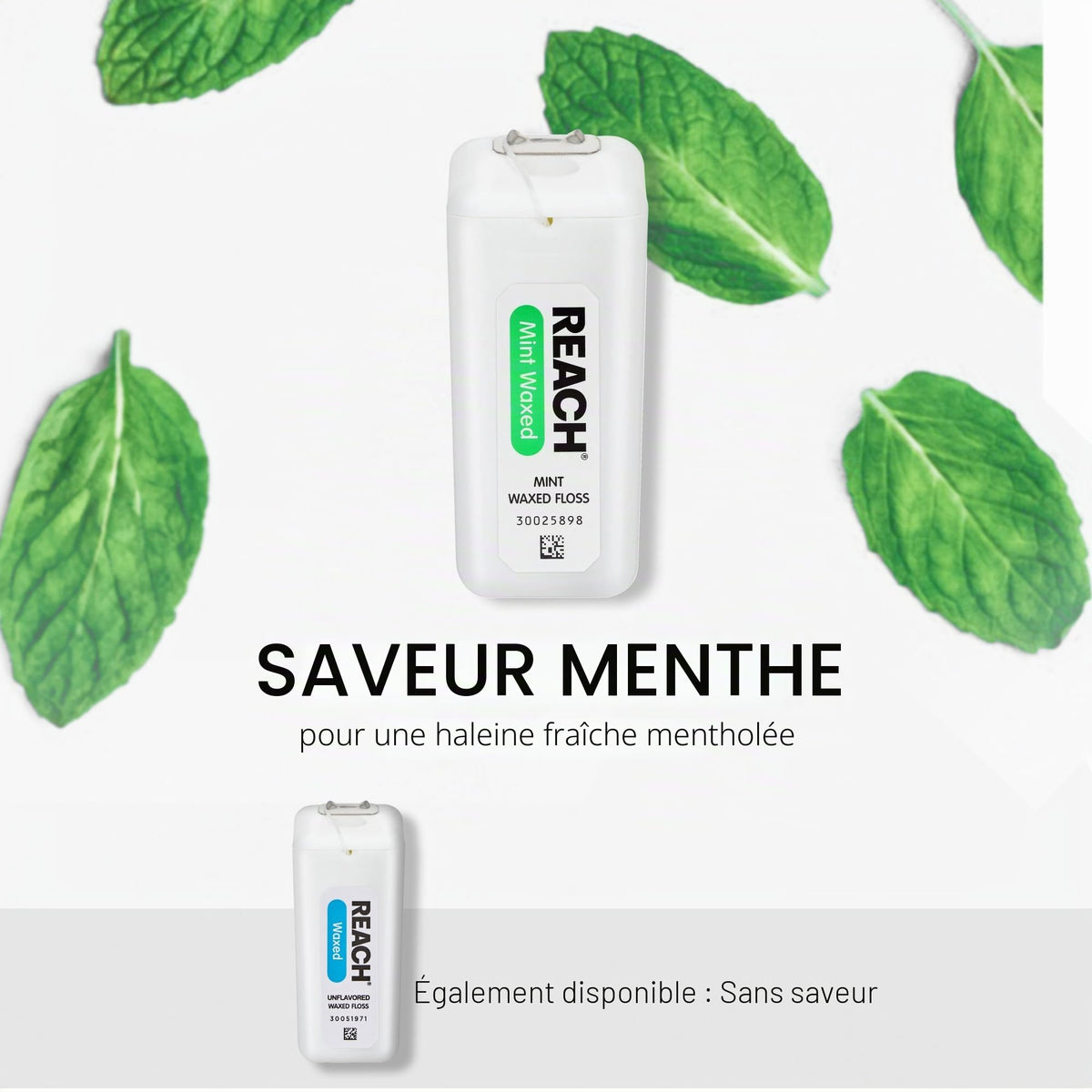 Reach Fil dentaire ciré aromatisé à la menthe pour soins buccaux et retrait de la plaque dentaire et de la nourriture des dents et des gencives, accepté par l'American Dental Association (ADA), saveur menthe rafraîchissante, 188 m (lot de 6)