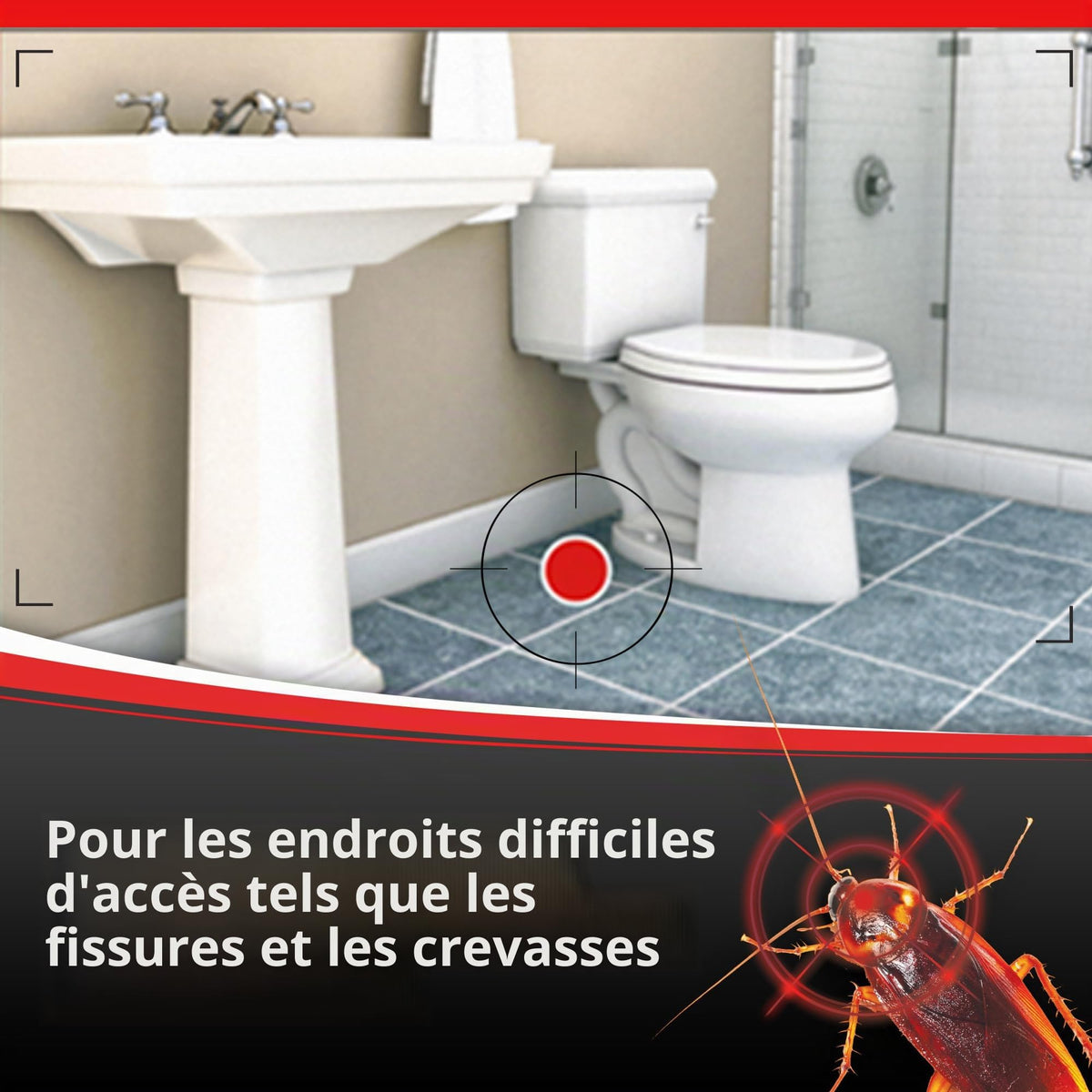 Piège à fourmis Combat