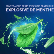 Oral-B, Pics à fil Scope, Outlast, 1 x 75 pics à fil
