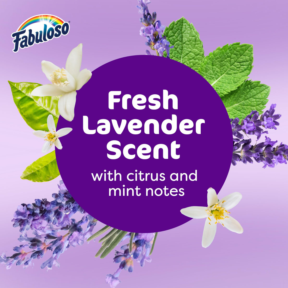 Fabuloso Nettoyant tout usage pour sols, salle de bains, douches et cuisines Lavande - 56 Fl Oz