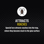 Noir Drapeau Roach Motel Piège à insectes